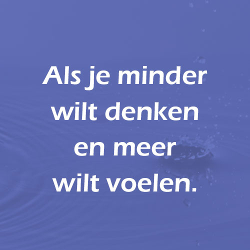 Meer voelen..